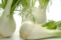 Fenchel