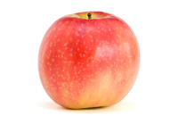 Wellant (allergenarm)