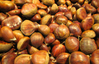 Maronen, gekocht&gesch&auml;lt