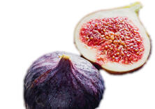 Feigen frisch
