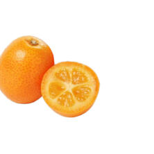 Kumquat