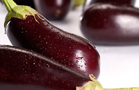 Aubergine