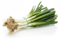 Fr&uuml;hlingszwiebeln