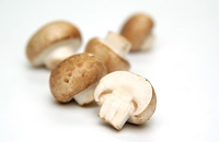 Champignons
