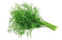 Dill