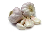 Knoblauch, frisch