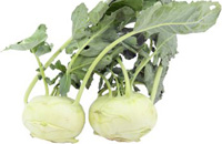 Kohlrabi