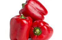 Paprika rot