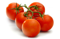 Tomaten D