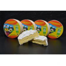 Camembert Montsurs 45%