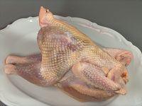 Suppenhuhn